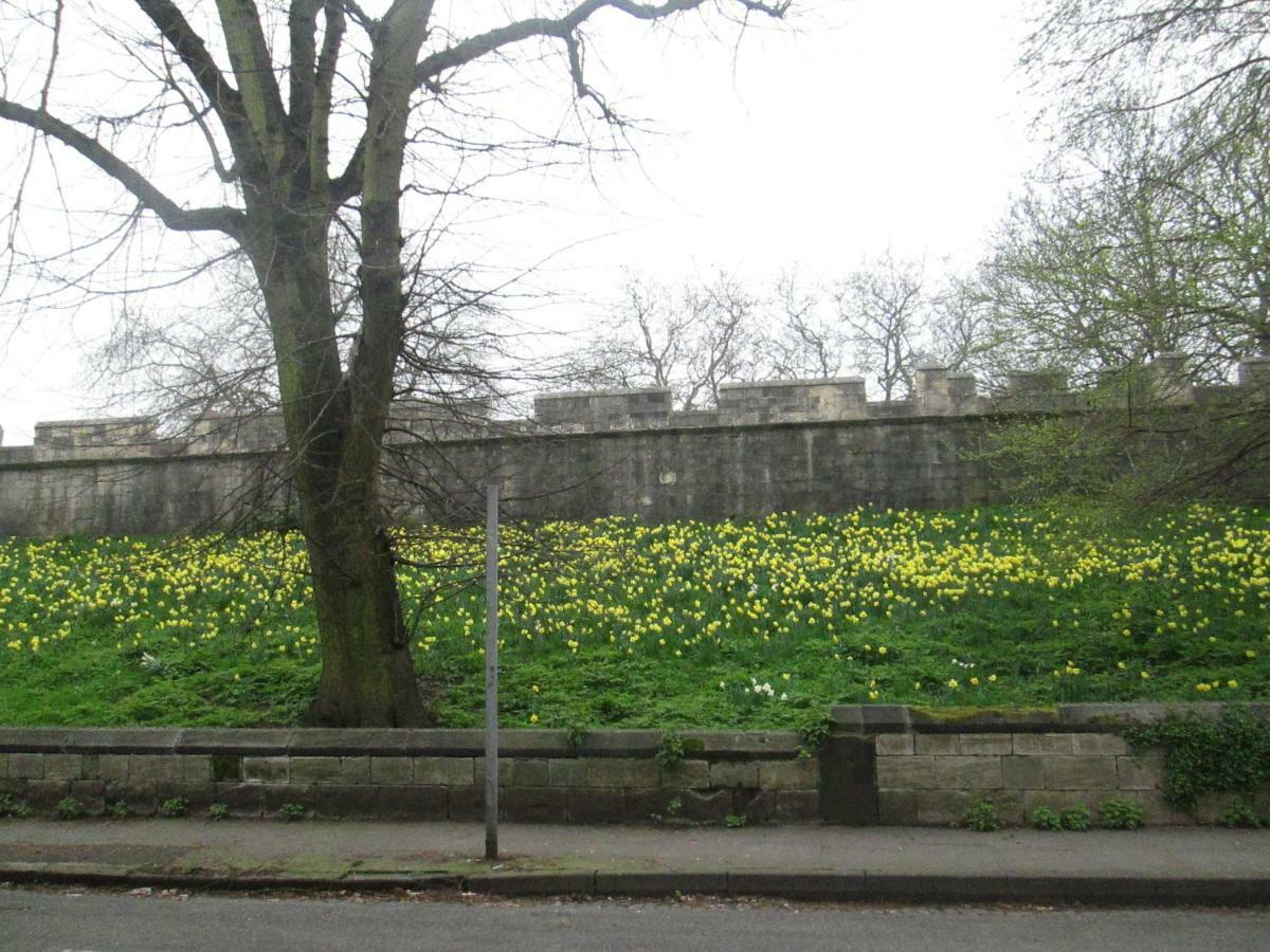 Victoria Bar Apartments Within The City Walls Free Parking York Exterior foto